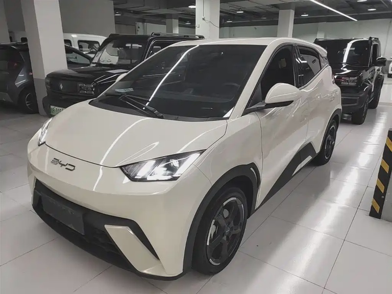 BYD Seagull