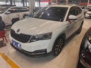 Skoda Kamiq 2024