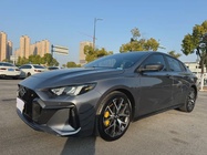 GAC Shadow Leopard 2021