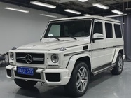 Mercedes-Benz G-Class 2013