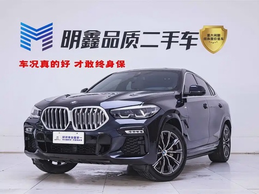 BMW X6 2021