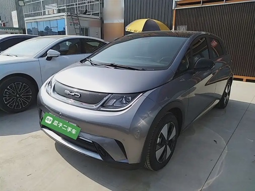 BYD Dolphin 2024