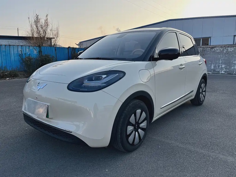 Wuling Bingo