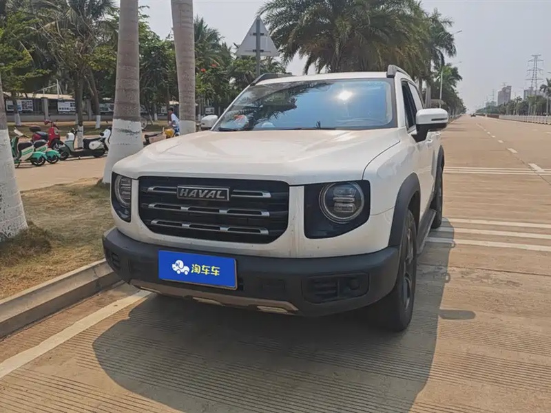 Haval Big Dog