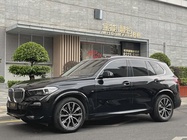 BMW X5 2021