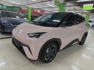BYD Seagull 2024
