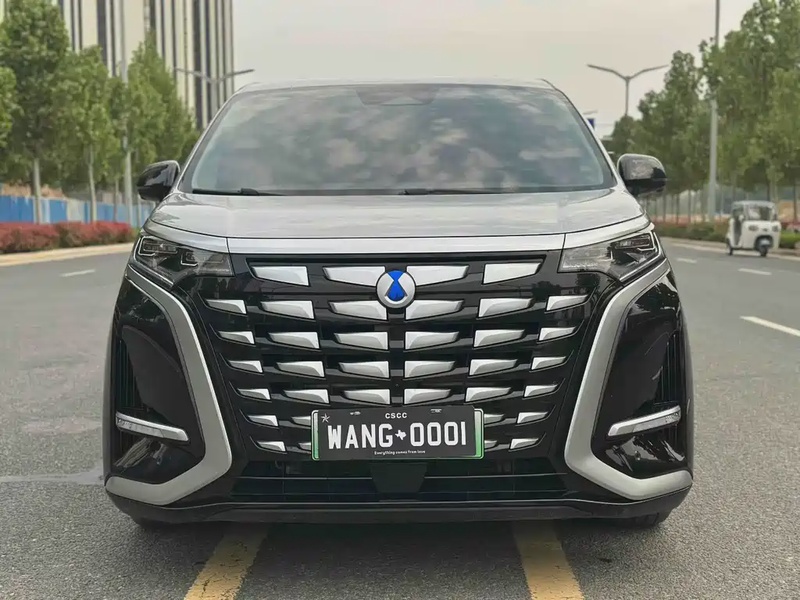 Denza D9