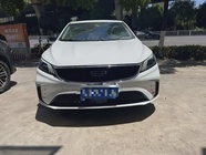 Geely Binrui 2021