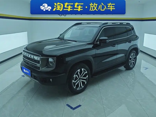 Haval Big Dog 2024