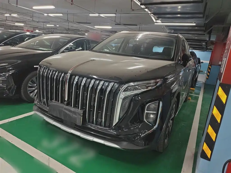 Hongqi HS7