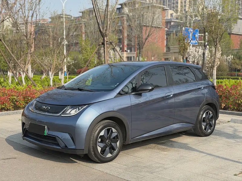 BYD Dolphin