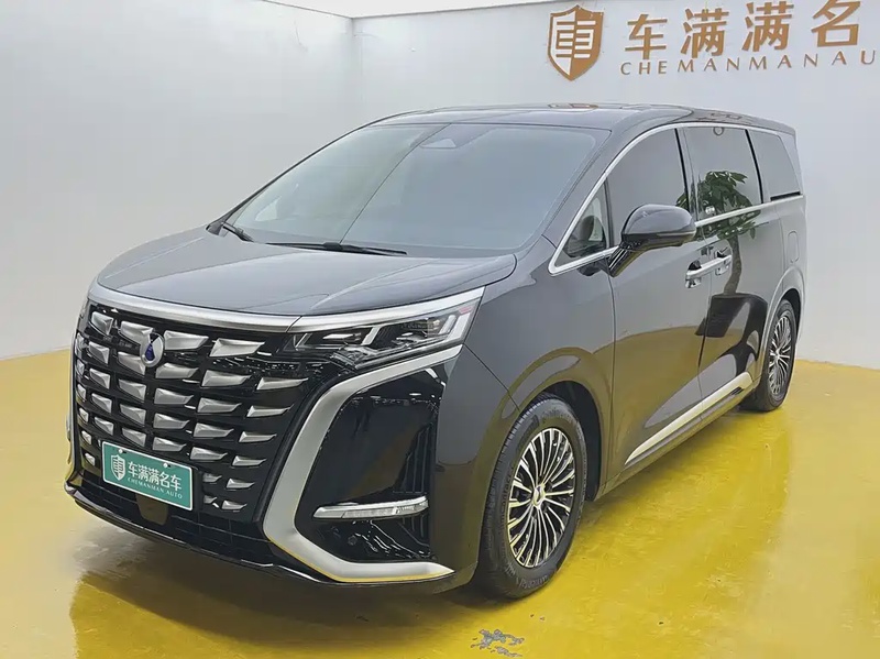 Denza D9