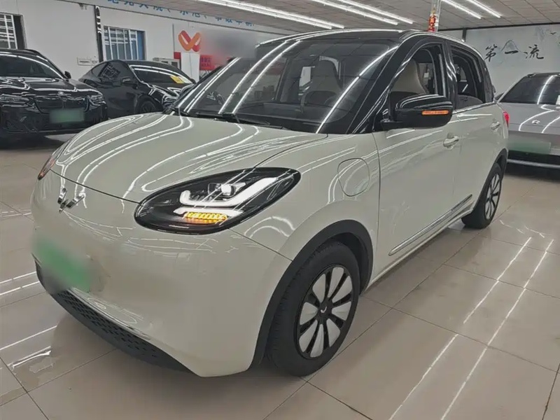Wuling Bingo