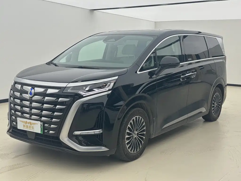 Denza D9