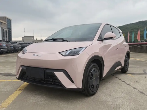 BYD Seagull 2024