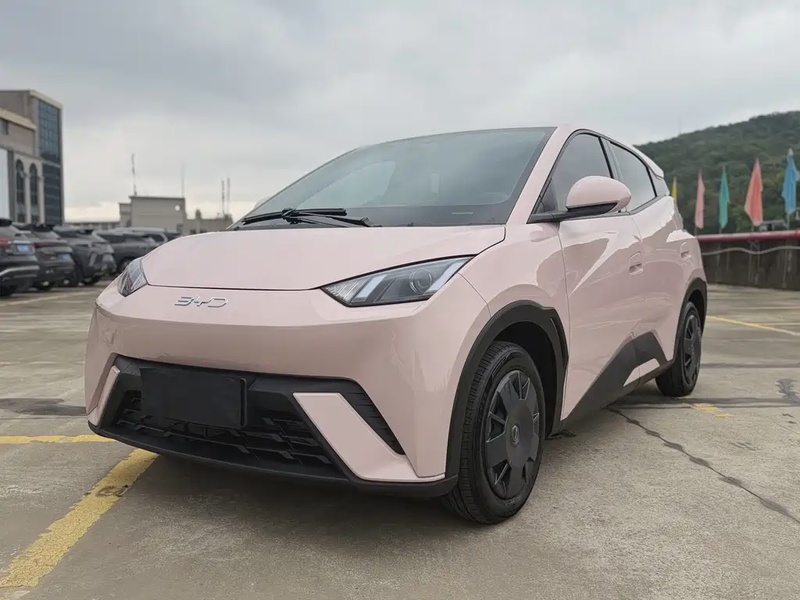 BYD Seagull