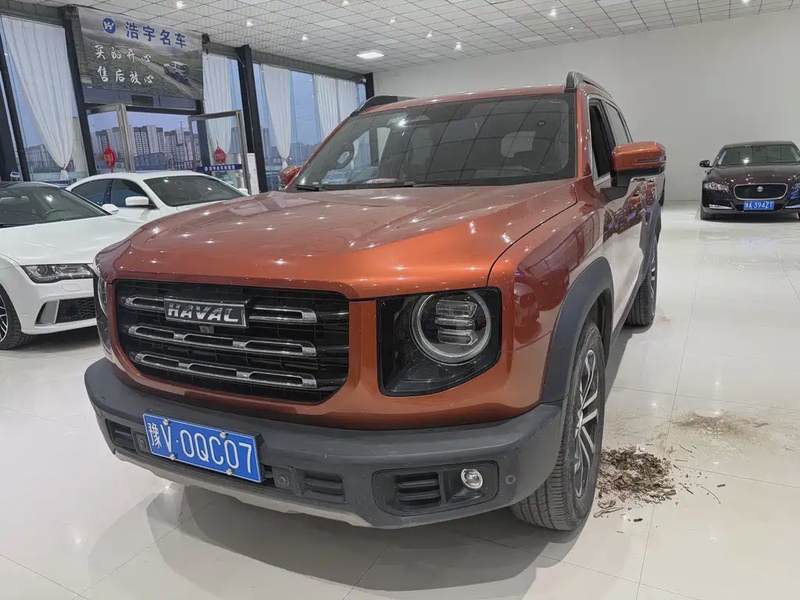 Haval Big Dog