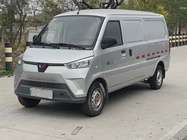 Wuling EV50 2022