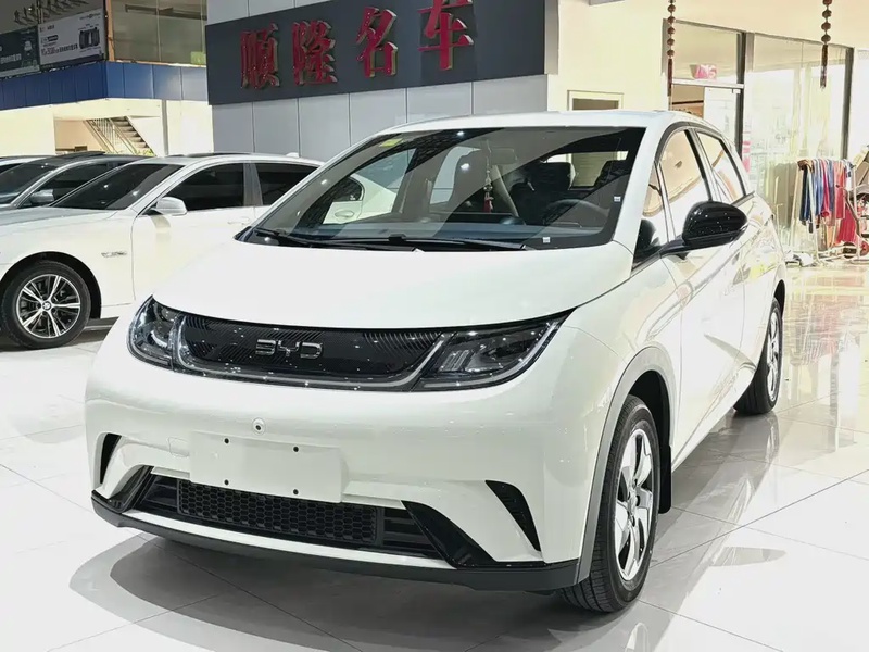 BYD Dolphin