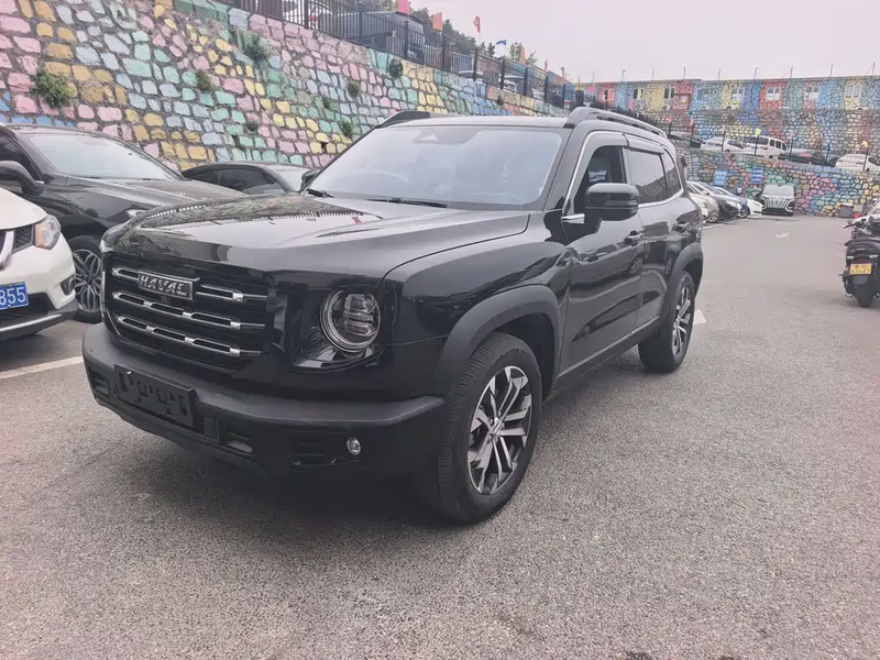 Haval Big Dog
