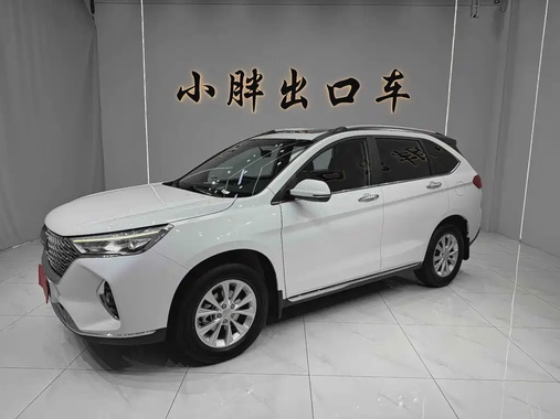Haval M6 2021