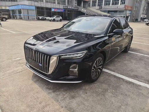 Hongqi H5 2024