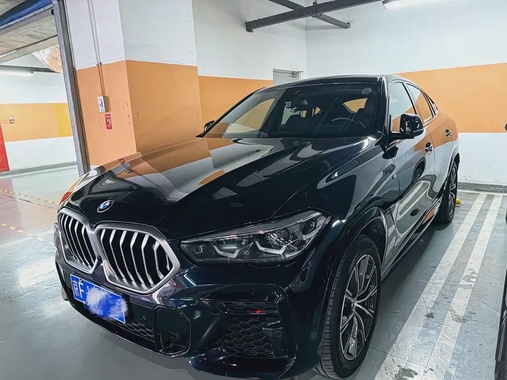 BMW X6 2021