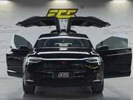 Tesla Model X 2019