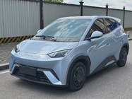 BYD Seagull 2024