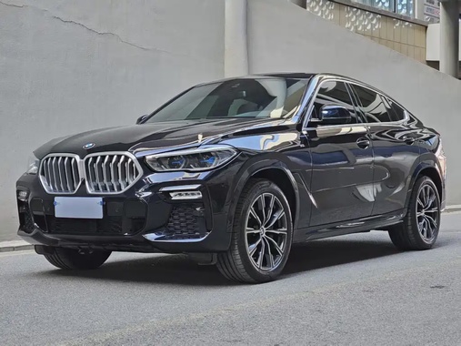BMW X6 2021