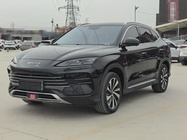 BYD PLUS 2024