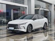 BYD Destroyer 2024