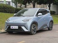 BYD Seagull 2024