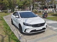 Geely Binrui 2023