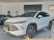 BYD L 2024