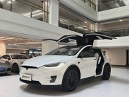 Tesla Model X 2019