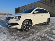 Skoda Karoq 2022