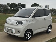 Wuling Mini 2024