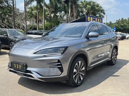BYD PLUS 2025