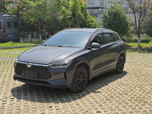 BYD e2 2020