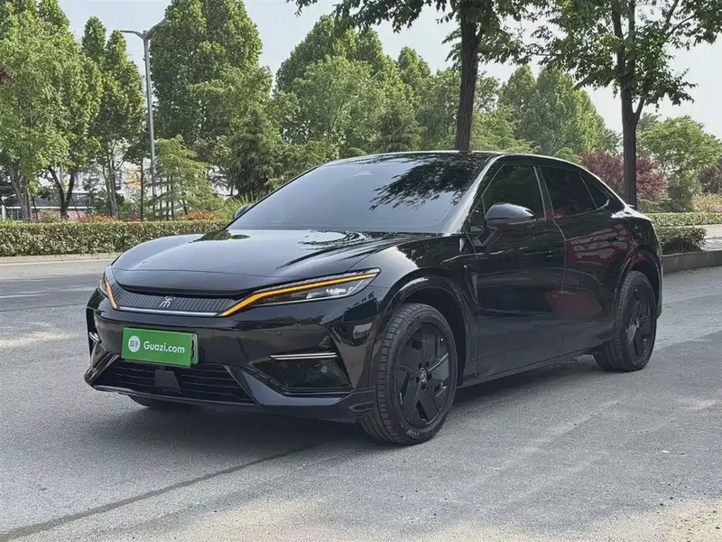 BYD L