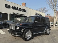 Mercedes-Benz G-Class 2010