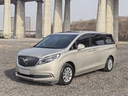 Buick GL8 2019