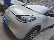 Wuling Bingo 2024