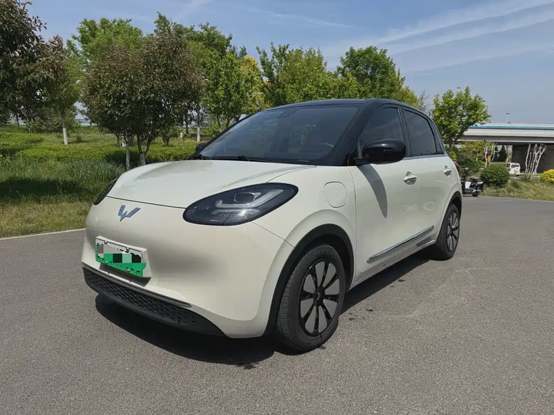 Wuling Bingo