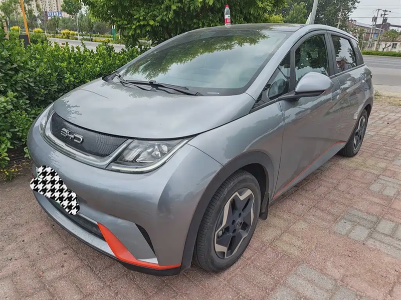 BYD Dolphin