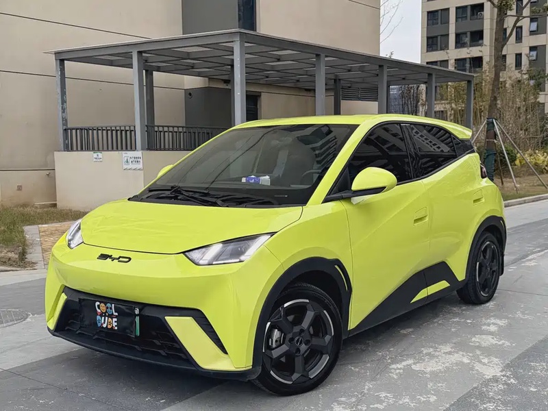 BYD Seagull