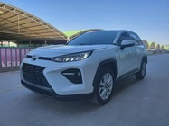 Toyota Wildlander 2020