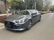 GAC Shadow Leopard 2021