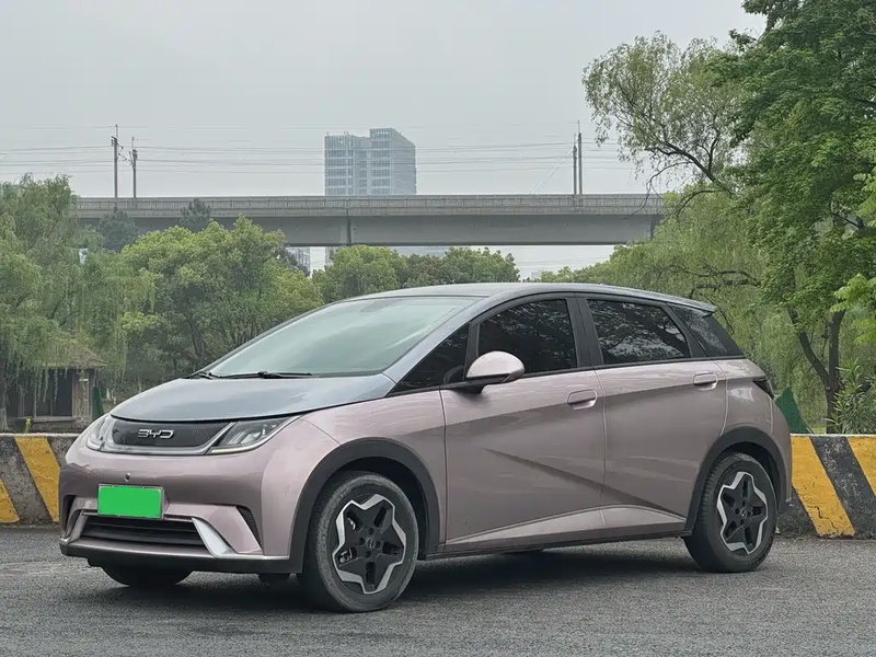 BYD Dolphin
